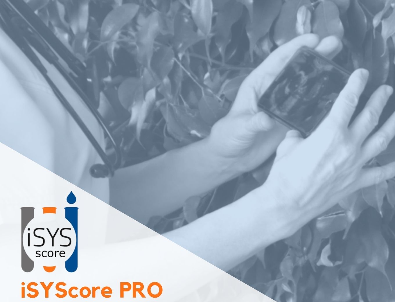 iSYScore pro