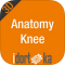 Anatomy Knee - DISCONTINUADA