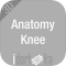 Anatomy Knee - DISCONTINUADA